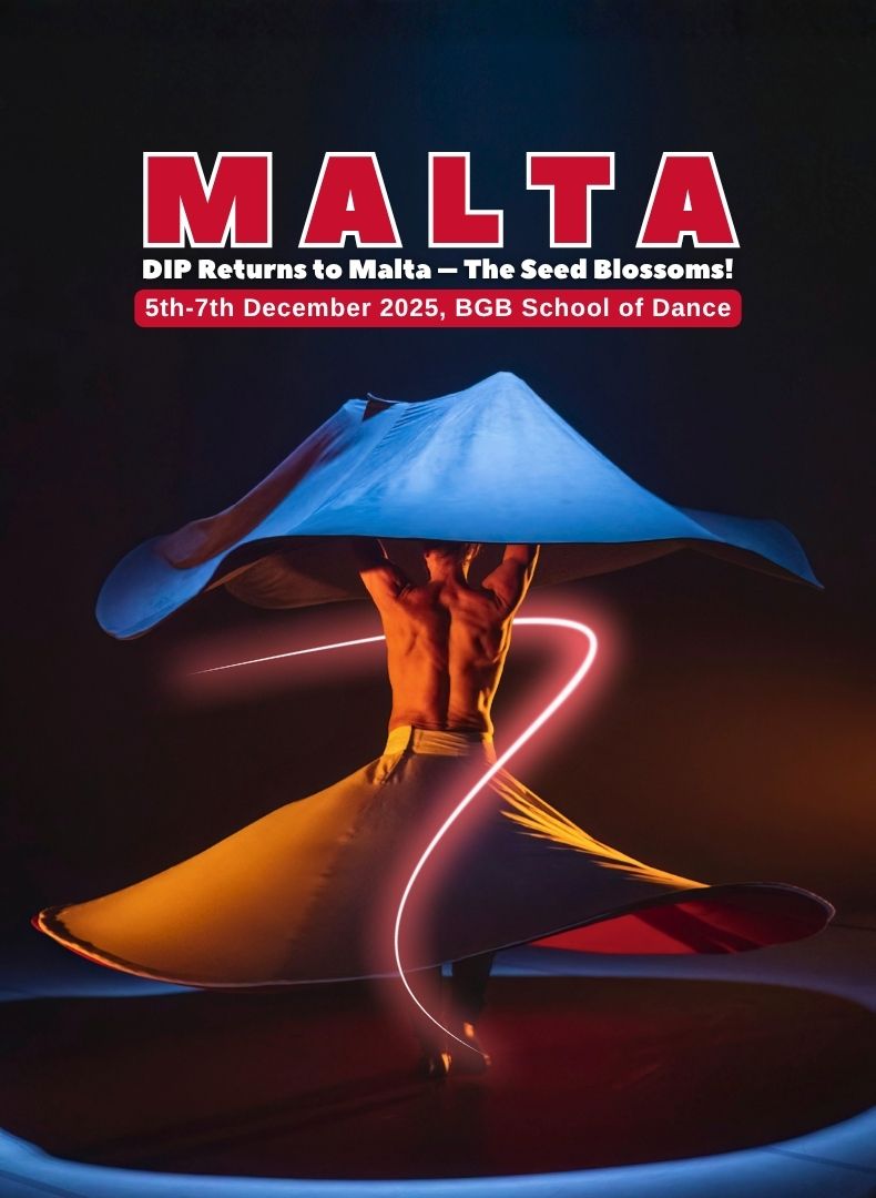 DIP Returns to Malta – The Seed Blossoms!